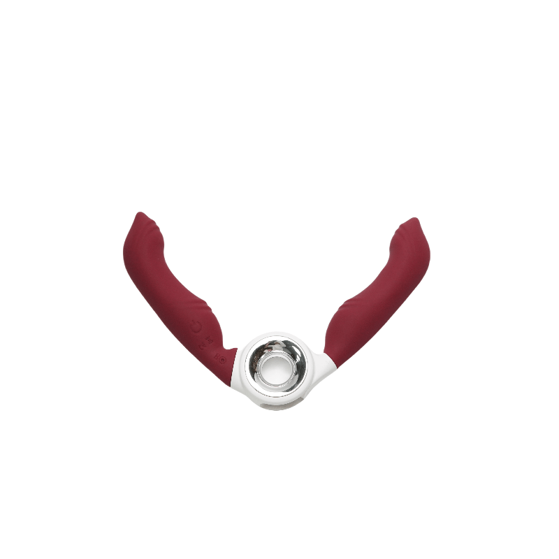 Double-head vibrator